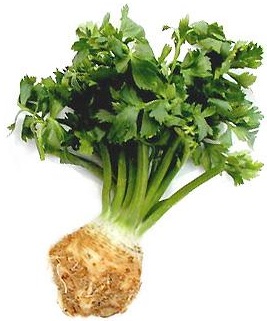 Odvar z kořene celeru - recept, příprava, využití, účinky na lidské zdraví