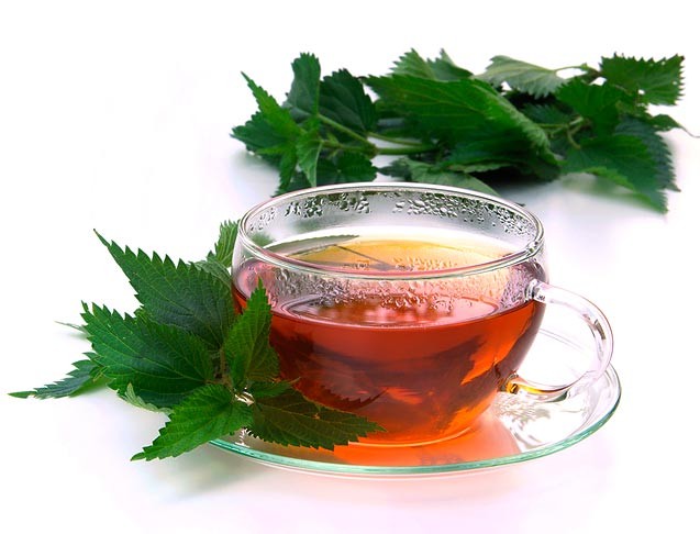Čištění krve, detoxikace - byliny, bylinky, babské rady
