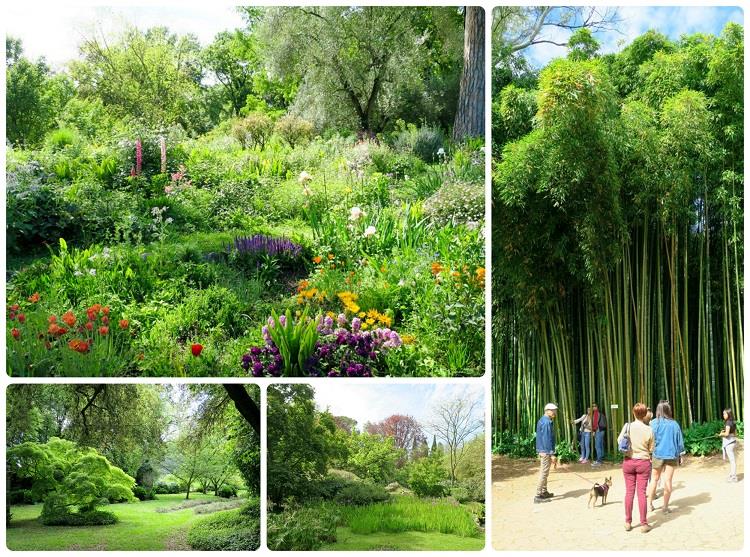 Zahrada Nymf, Giardini di Ninfa u Říma, Itálie - fotografie, informace