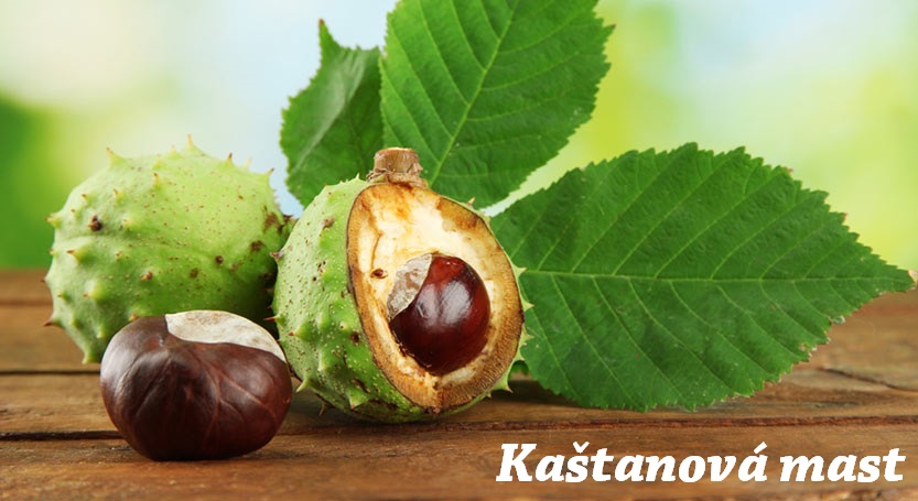 Kaštanová mast, mast z kaštanu - výroba, recept, postup, návod, příprava, suroviny, ingredience, složení