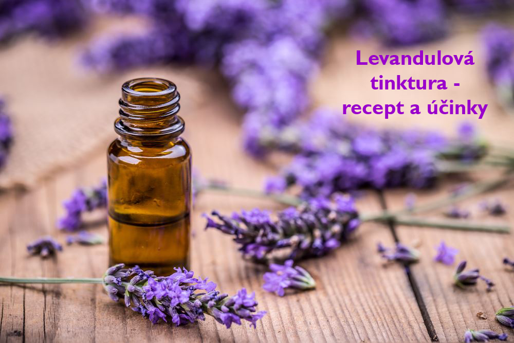 Levandulová tinktura - recept, postup, návod, příprava, účinky na zdraví