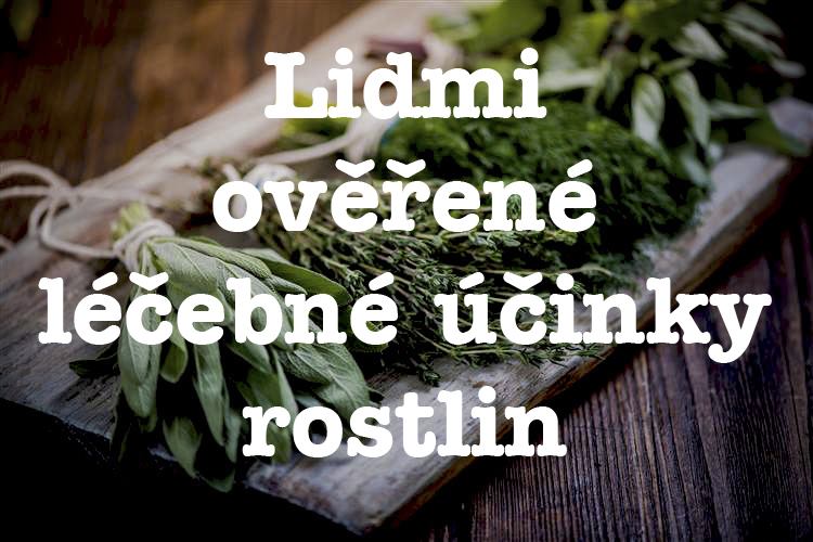 Léčebné úspěchy léčivých rostlin - kazuistiky (osobní zkušenosti lidí)