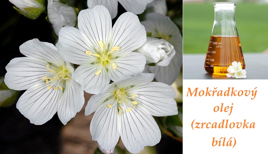 Mokřadkový olej, olej ze zrcadlovky bílé - účinky na zdraví, využití