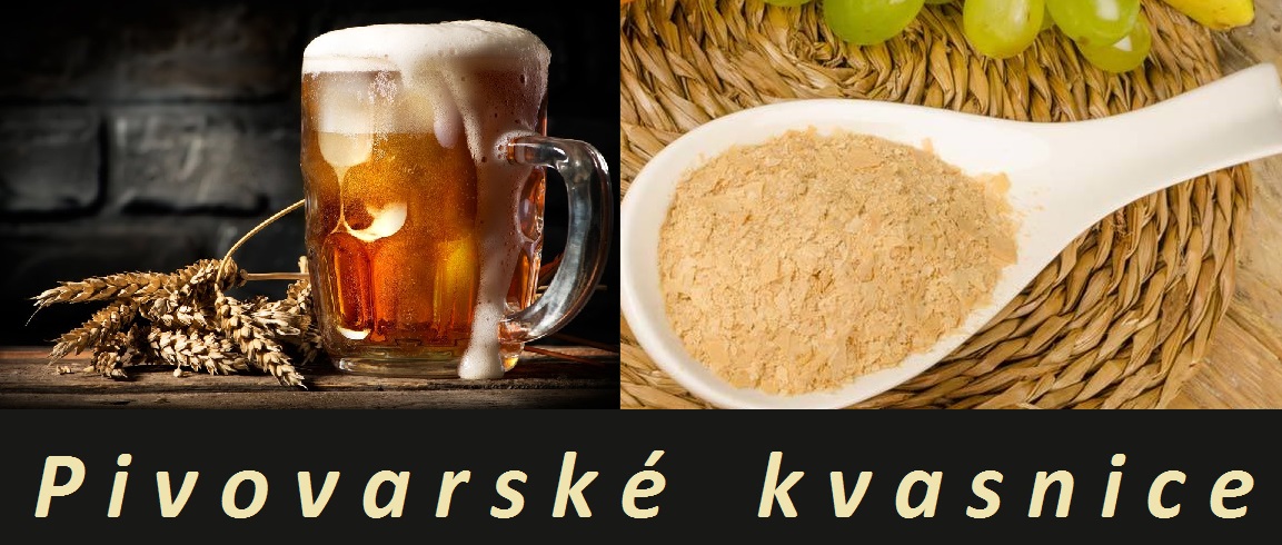 Pivovarské kvasnice - účinky na zdraví, složení, použití, užívání, dávkování