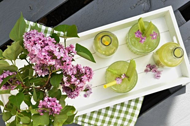 Rebarborová limonáda - recept, postup, návod, příprava, výroba, suroviny