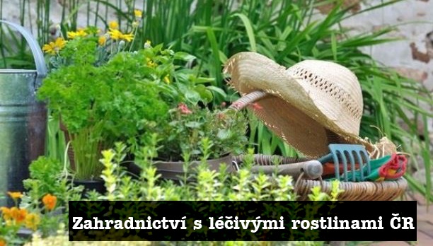 Seznam zahradnictví s bylinami, bylinkami, léčivými rostlinami v ČR, mapa