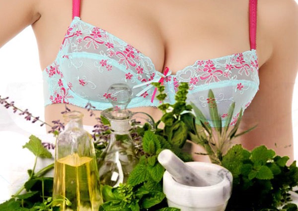 Zánět prsů, otoky prsou před menstruací - byliny, bylinky, léčba bez léků