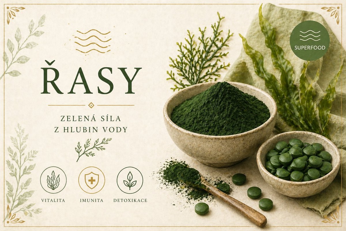 Řasy